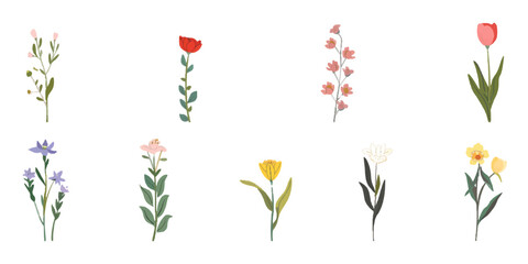 Set of flowers, vector illustration on a white background.