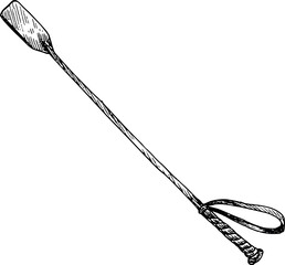 graphic vector illustration of a horse whip. Isolated. For cards, prints, decor