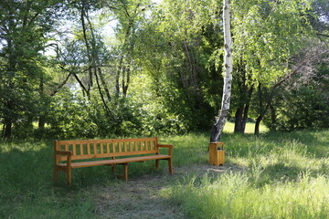 Empty Bench in Sunny Park
