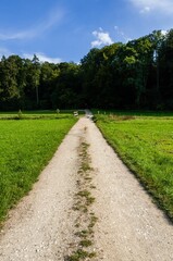 Winding dirt path leading into a lush green field in a tranquil wooded area. Southern Germany