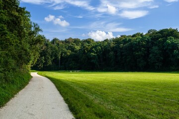 Winding path leads into a lush green field in a tranquil wooded area. Southern Germany