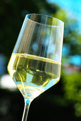 glas of white wine on golden tablet, in the garden