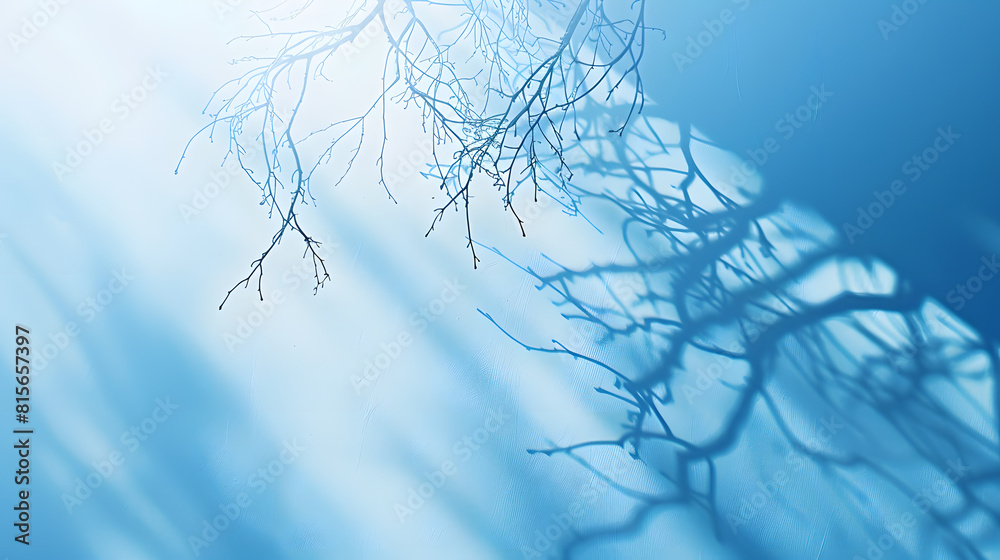 Aufkleber Minimalistic abstract gentle light blue background for product presentation with light and intricate shadow from tree branches on wall : Generative AI