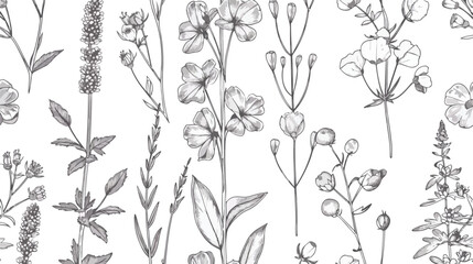 Seamless botanical pattern with wild flowers. Outline