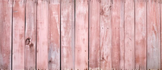 Fototapeta premium the old fence is a fragment of pink color the paint peels off from the wooden surface. copy space available