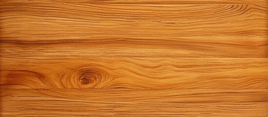 Wood Texture Background. copy space available