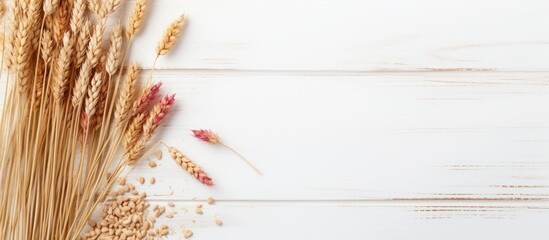 Fototapeta premium Cereals background Raw oatmeal near sprigs of wheat on white wooden background top view copy space