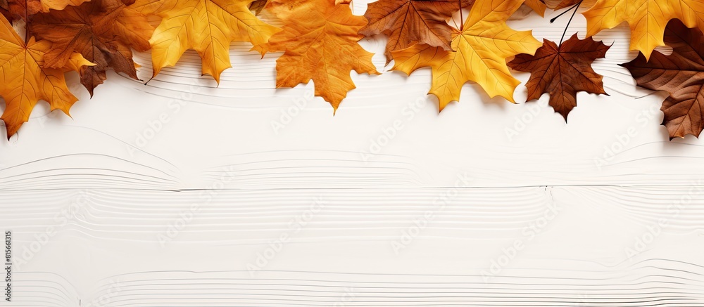 Poster wooden white background with copy space image featuring dry autumn maple leaves positioned in the up
