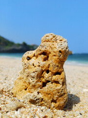 standing coral reef at tropical beach during summer, sadranan beach.