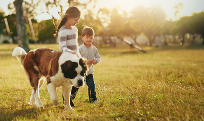 Nature, walking and siblings in park, dog and play with fun, journey and animal with sunshine....