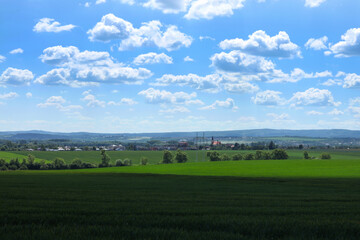 Beautiful landscape with green field and blue sky with white clouds.