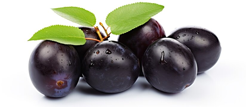 Closeup of Malabar Plum or Jamun Isolated on White Background with Copy Space Also Known as Black Plum Jambolan or Syzygium Cumini