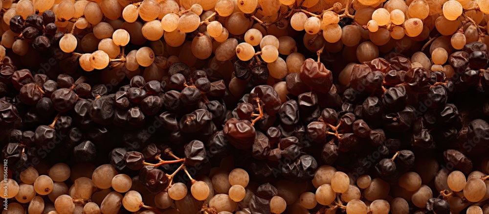 Poster group of raisin currant texture background copy space