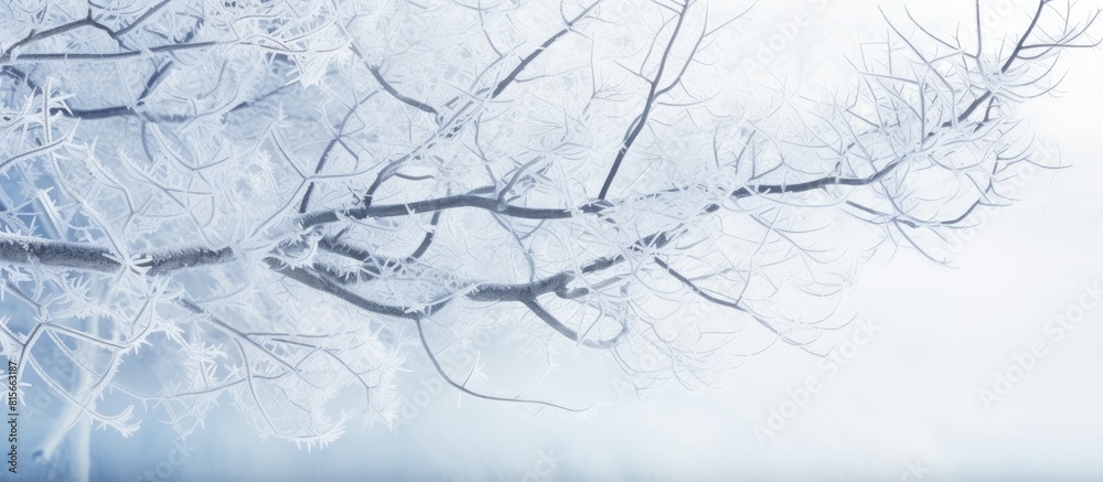 Poster tree branches with hoar frost. copy space available
