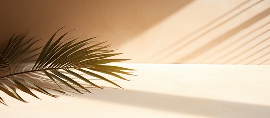 Fototapeta premium Palm leaf shadow on a sand textured background with copy space