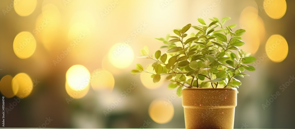 Aufkleber tree that decorate the room pot fake plant with bokeh effect. copy space available