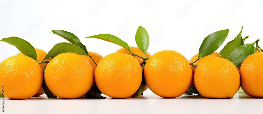 Poster tangerines on a white background isolated copy space top view close up