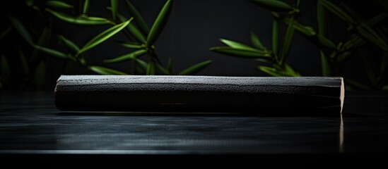 A carbon activated bamboo charcoal stick on a dark background is a copy space image that can effectively absorb toxins in the human body promoting a concept of health care