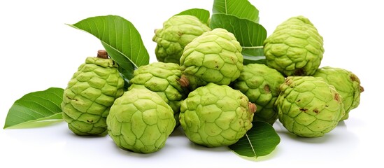 Fototapeta premium Noni fruits on white isolated background. copy space available