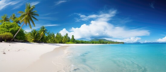 A mesmerizing tropical island scene with a stunning white sandy beach crystal clear turquoise waters and gentle ocean waves The vibrant blue sky with scattered clouds creates a picturesque backdrop f