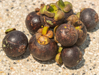 mangosteen fruit on gray background.