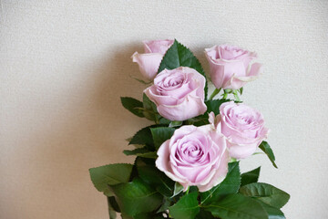 紫色の薔薇