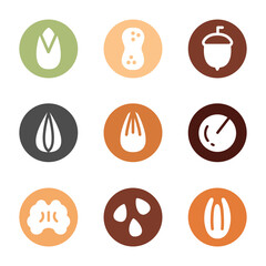 Set of vector icons hand drawn nuts and seeds. Peanut, pistachio, walnut, almond, brazil nut, pine nuts, sunflower seeds, acorn, pecan, macadamia. Colourful sketch of different kinds of nuts.