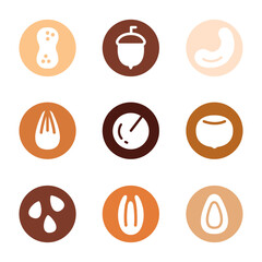 Set of hand drawn vector labels of nuts. Icons can use for logo, emblem creation or for a recipe of vegetarian nutrition. Peanut, almond, pine nuts, acorn, pecan, macadamia, hazelnut, cashew, seed