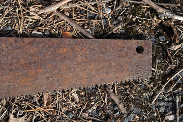 Rusty saw lying on the ground outdoors
