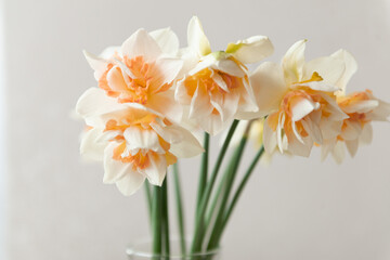 narcissus flower bouquet in small glass vase at home, close-up