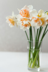 narcissus flower bouquet in small glass vase at home
