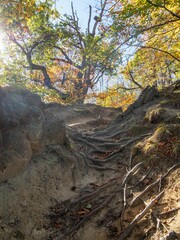 Scenic view of a steeply eroded hill surrounded by lush trees