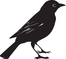 silhouette of a bird