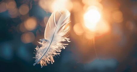 The simplicity of a feather drifting, capturing the essence of gentleness for awareness. World Suicide Prevention Day, September 10