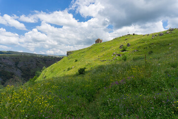 Fields of yellow flowers and a church on the edge of a cliff. Blue sky with clouds. Tsalka canyon,...