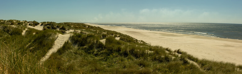 Panoramic view of a serene beach with sand dunes and sparse vegetation under a clear sky.