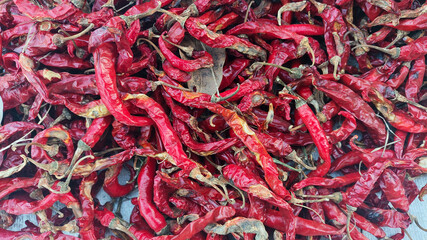 Dried large red chilies on a white base