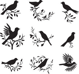 Obraz premium set of birds silhouettes