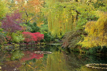 Outdoor garden scene in Victoria, British Columbia, Canada featuring lush green foliage and flowers.