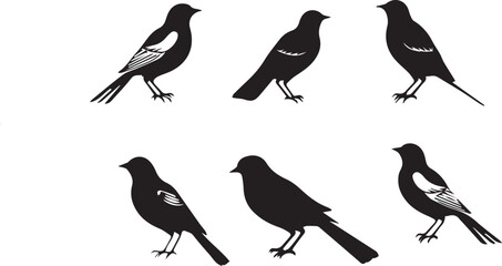 set of birds