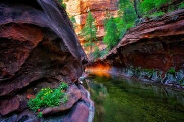 Picturesque scene of Oak Creek Canyon, Arizona,