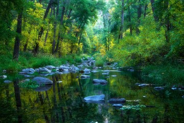 Beautiful, peaceful scene of Oak Creek Canyon, Arizona.