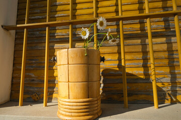 Daisies in the wooden vase across old yellow wooden shutters in the sunlight. Rustic background