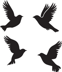 Obraz premium silhouettes of birds