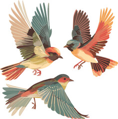 illustration of birds