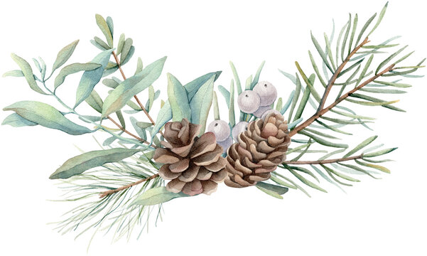 Watercolor Christmas composition of spruce branches, pine cones, White berries. Hand painted holiday card isolated on white background. Winter holiday symbols.