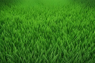 summer grass , summer grass background design