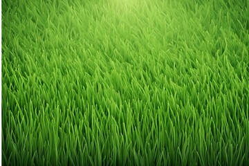 Obraz premium summer grass , summer grass background design