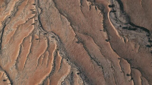 The Painted Desert