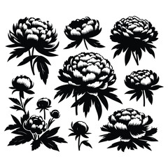 Flower silhouette vector graphics
